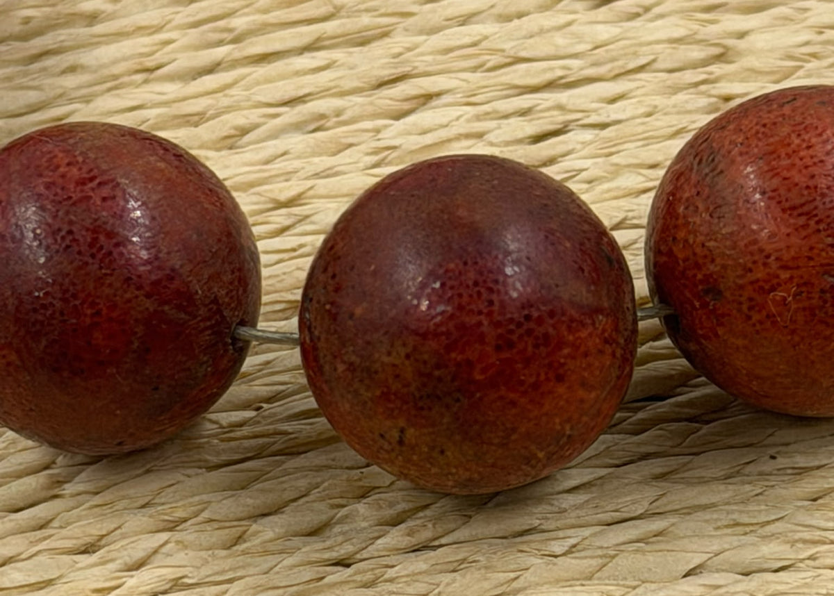 Natural red coral bracelet held in open palm showing actual size and weight of 11 large coral beads