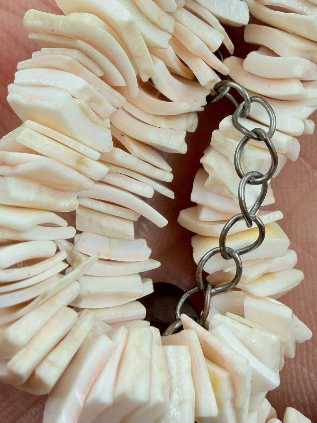 Natural pink shell slice necklace curled on white background