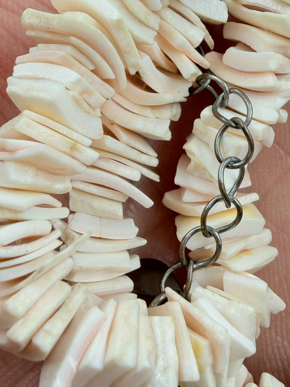 Natural pink shell slice necklace curled on white background